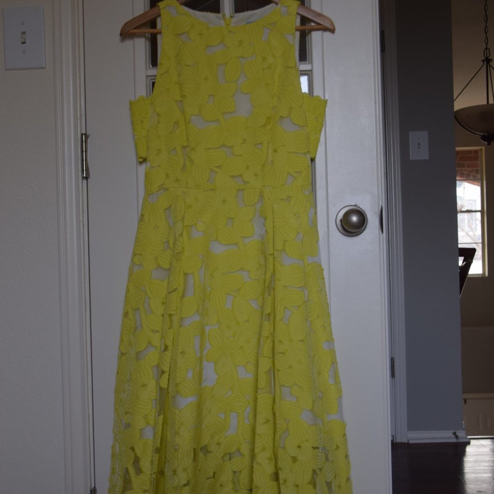 Antonio Melani Dress